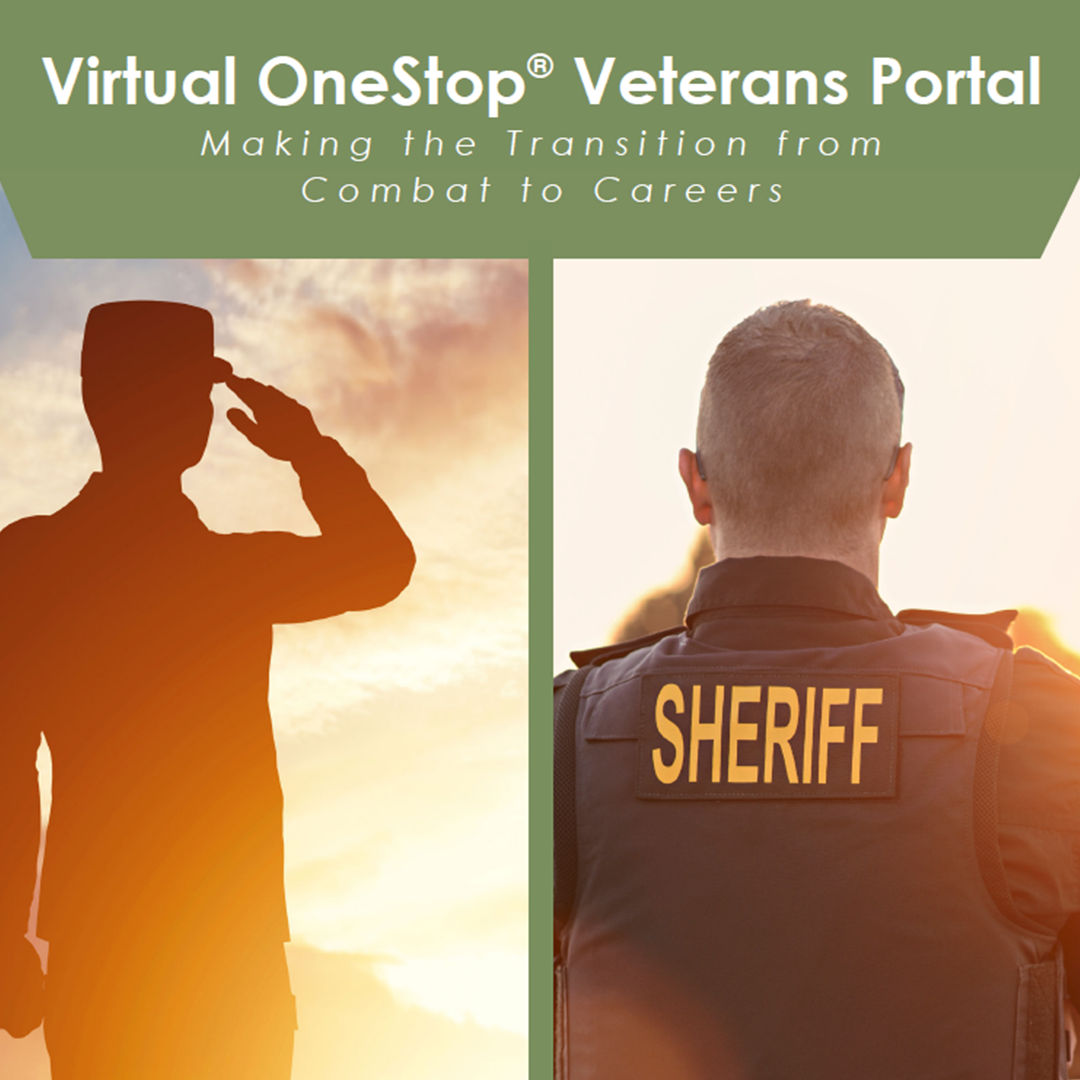 Naswa Veterans Portal insert graphic 1080